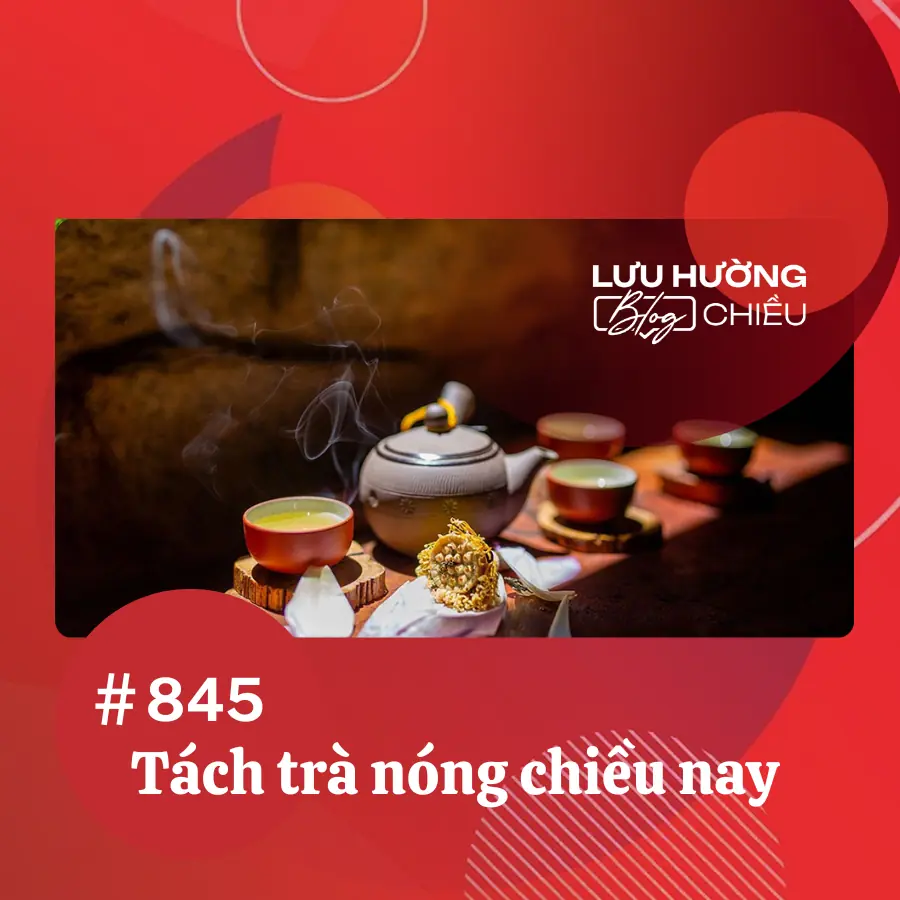 Tách trà nóng chiều nay
